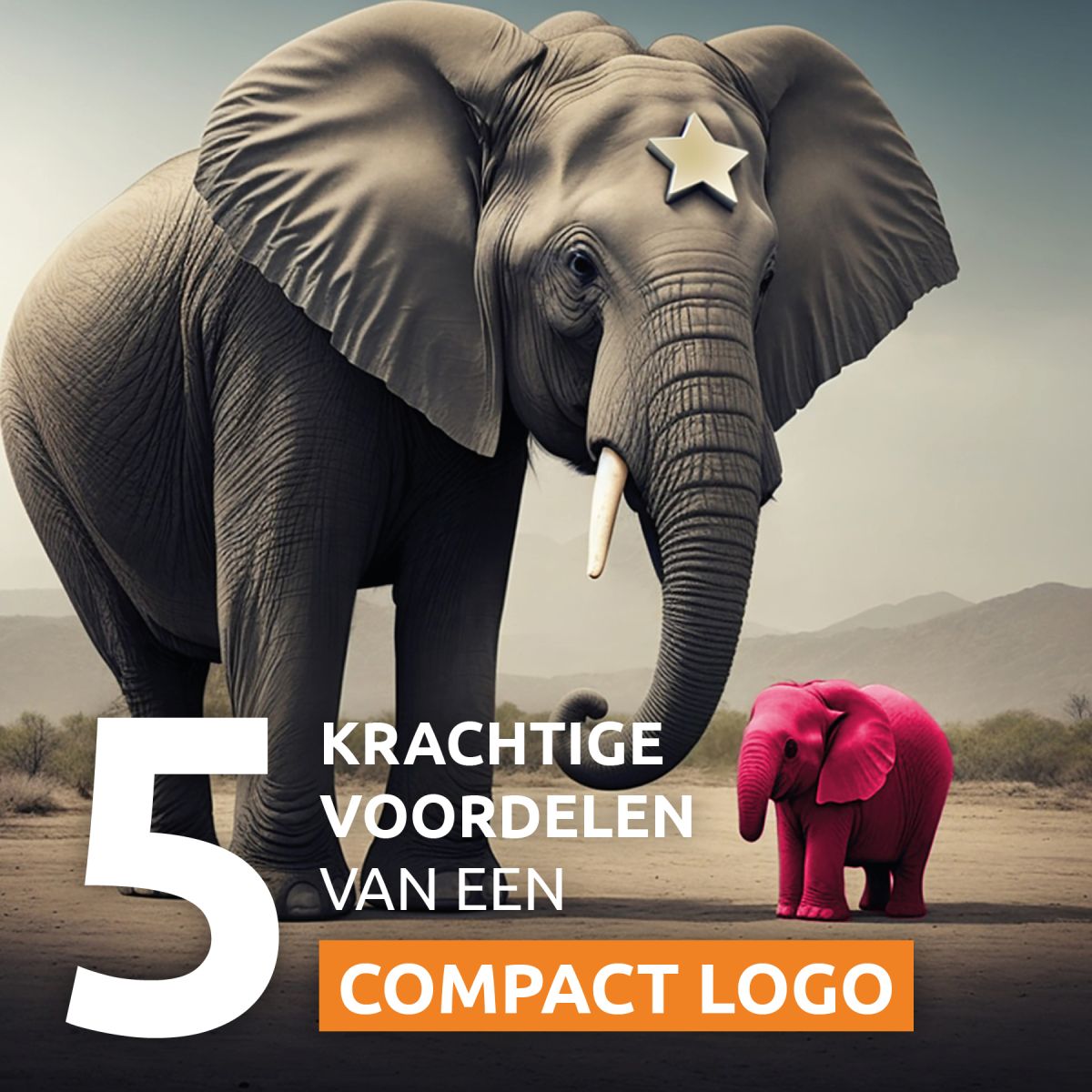 5 voordelen van een compact logo
