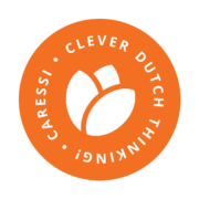 180109_icoon_clever_dutch_thinking