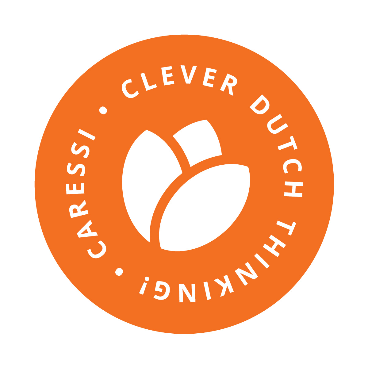 180109_icoon_clever_dutch_thinking