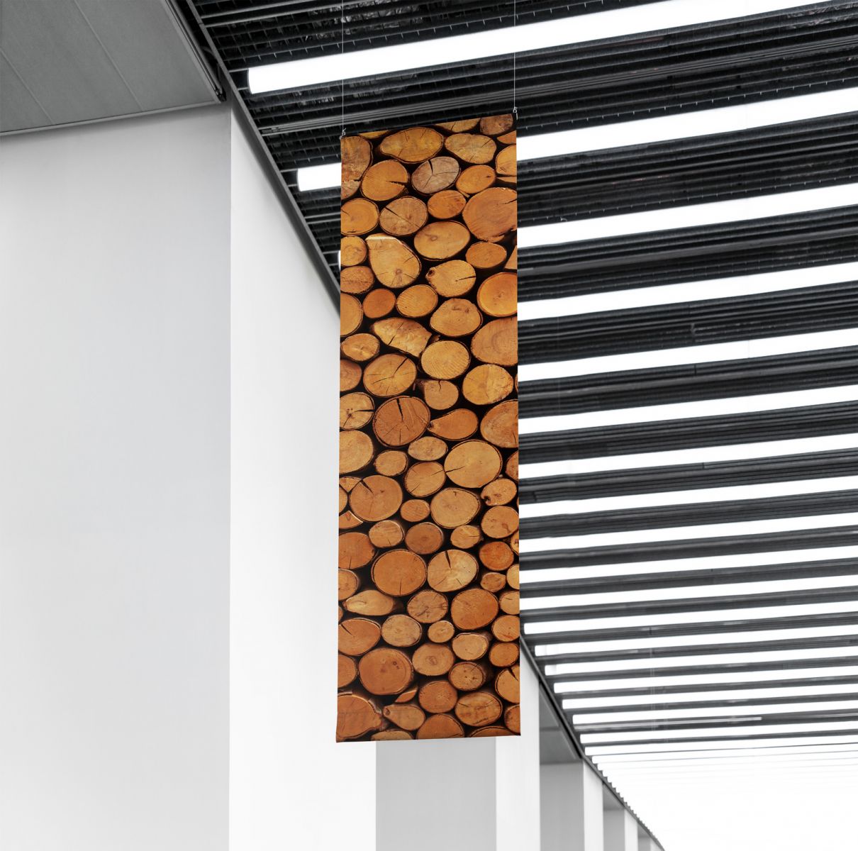 181018_zeepaardje_banner_winterhout_0