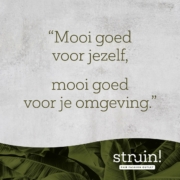 201032_struin_payoff