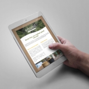 230909-Struin-Sfeervolle-Struinavonden-oktober-nieuwsbrief_top