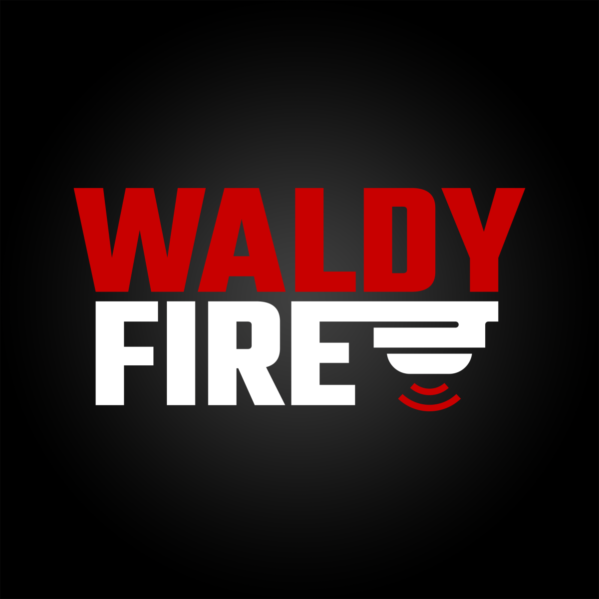 250101-diapositief-Logo-Brandbeveiliging-Waldy-Fire