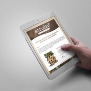 250603-Struin-Nieuwsbrief-Private-Presale-1