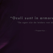 Bim_fotobehang_kantoor_lochem